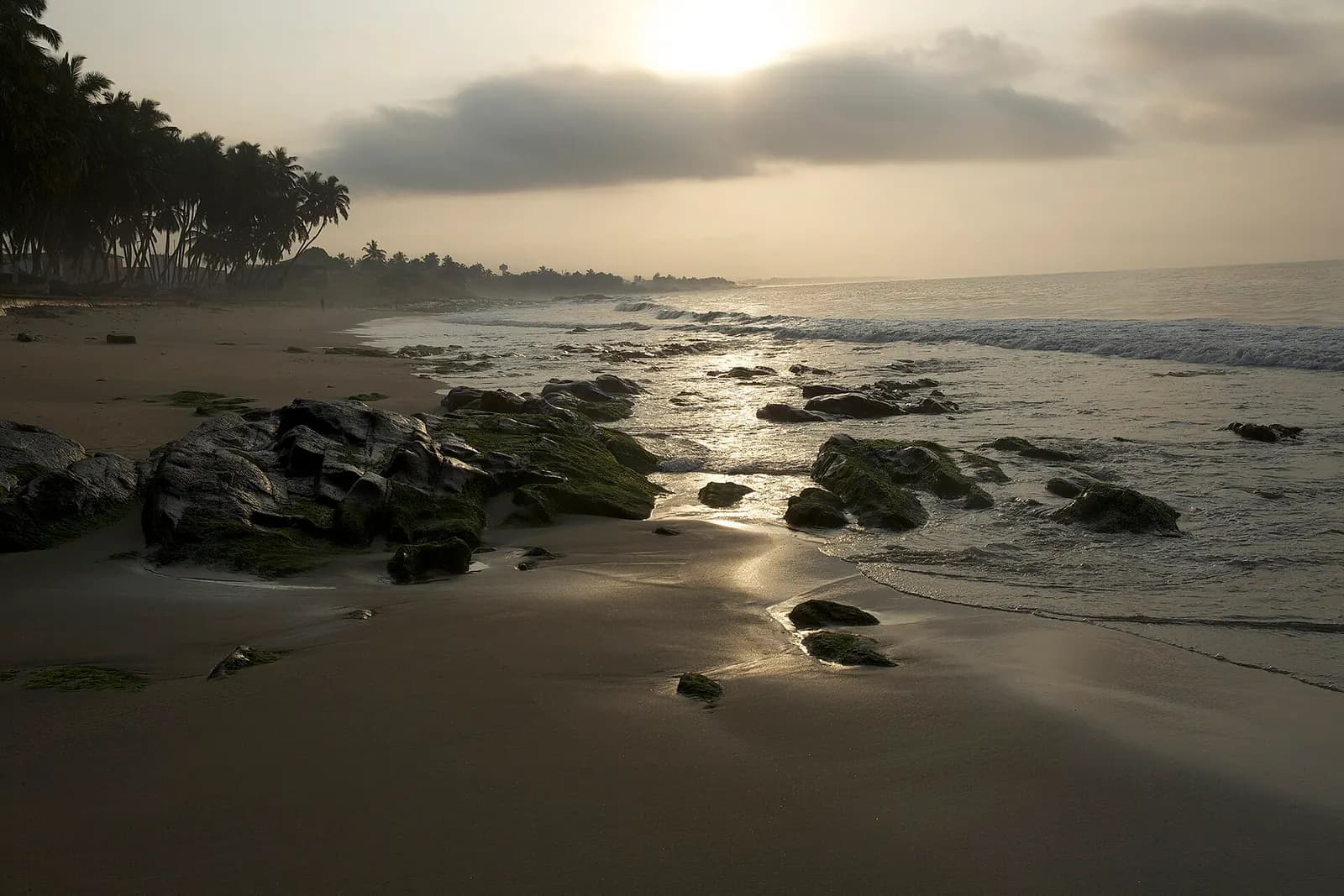 Morning sun on the wet sand and mossy rocks of a palm-lined beach by Anomabo