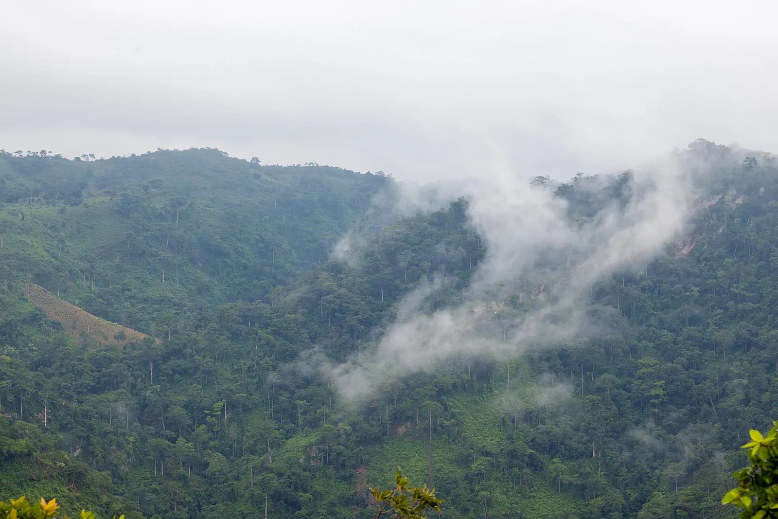Forested slopes with low cloud drifting across them on Mount Afadja