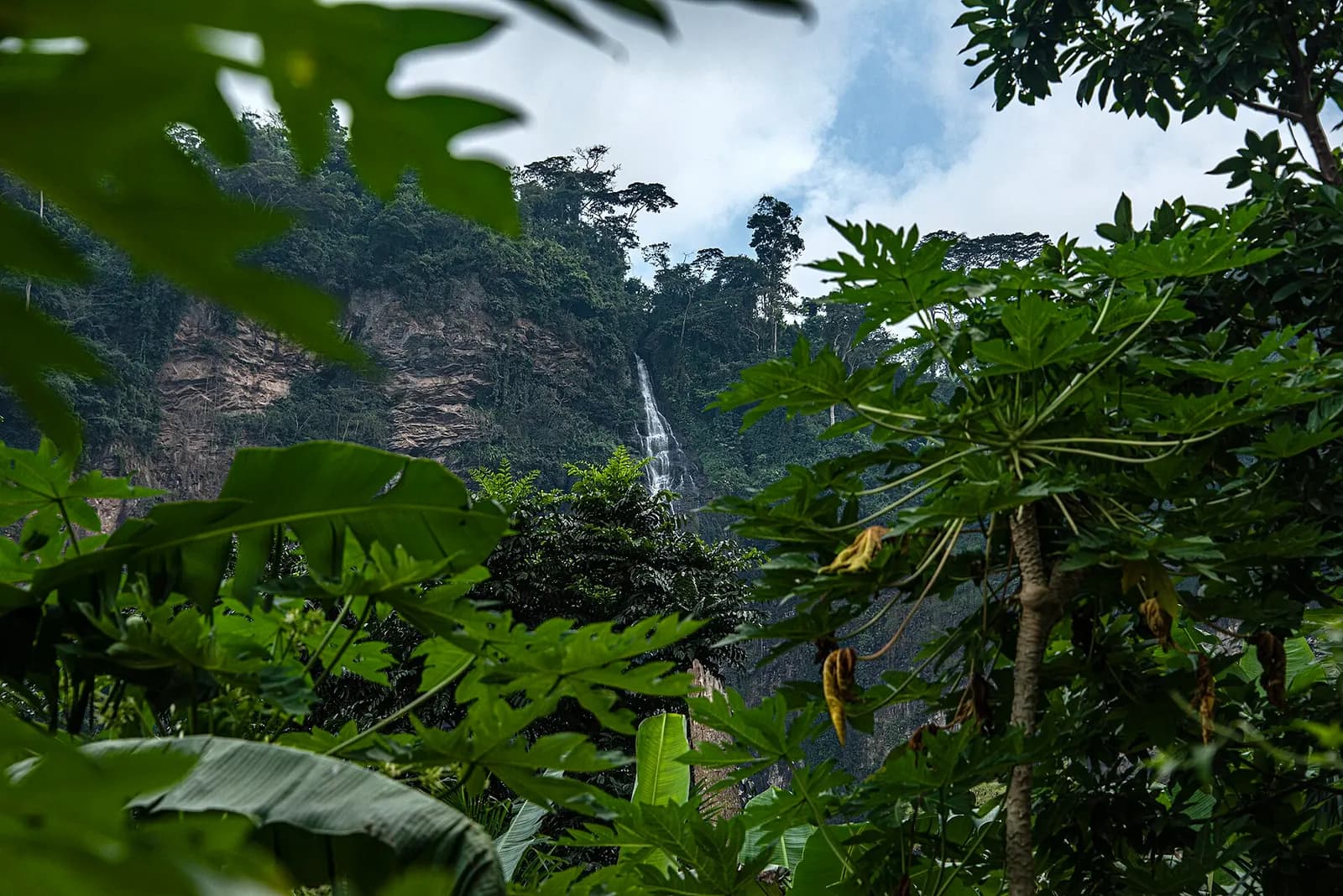 The Upper Wli Falls dropping down a forested cliff, framed by papaya and banana leaves